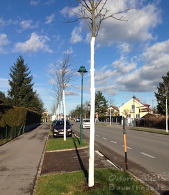 Stammschutz Farbe