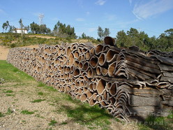 Korkeiche Borke
