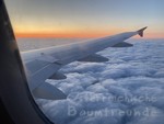 Flugzeug