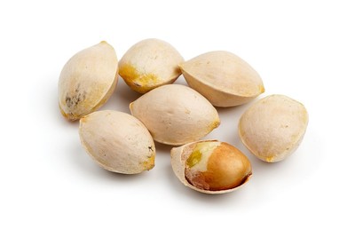 Ginkgo biloba