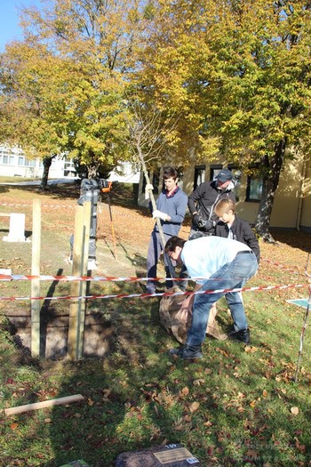 Baumpflanzung 900 Jahre Gramatneusiedl
