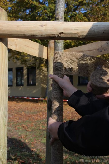 Baumpflanzung 900 Jahre Gramatneusiedl