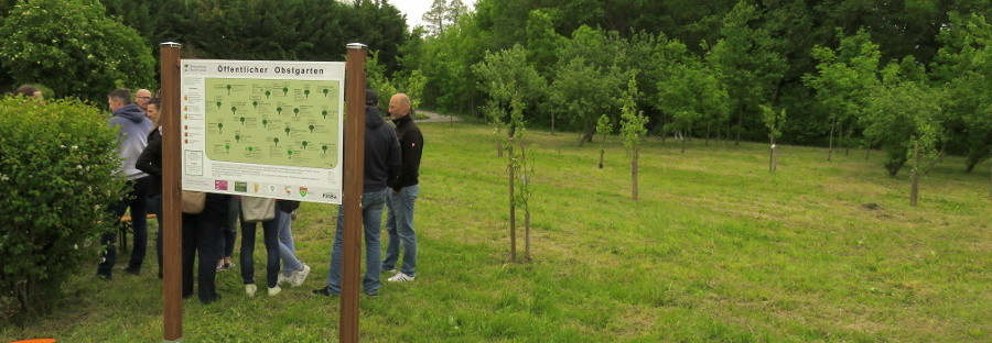 Öffentlicher Obstgarten in Gramatneusiedl